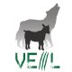 Veil